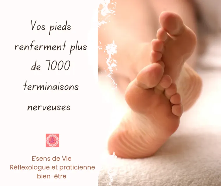 E'sens de Vie - Réflexologue à Épernay E’sens de vie – réflexologue à Épernay : 7 000 raisons de prendre soin de vos pieds